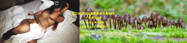 jwh Надым