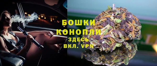 молекула духа Навашино