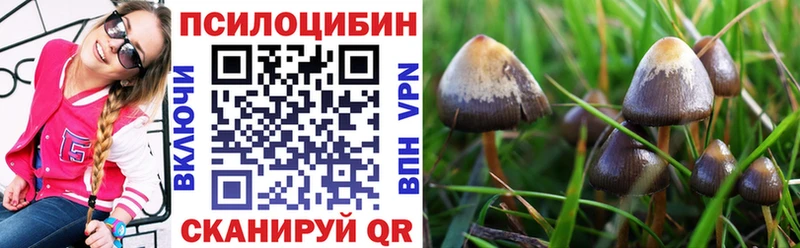 Псилоцибиновые грибы Magic Shrooms Лакинск