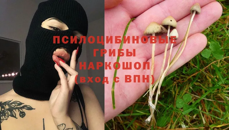 Псилоцибиновые грибы Magic Shrooms  купить наркоту  Лакинск 